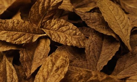 Lucky Strike Slow Cured Unterschied » Das macht ihn besonders