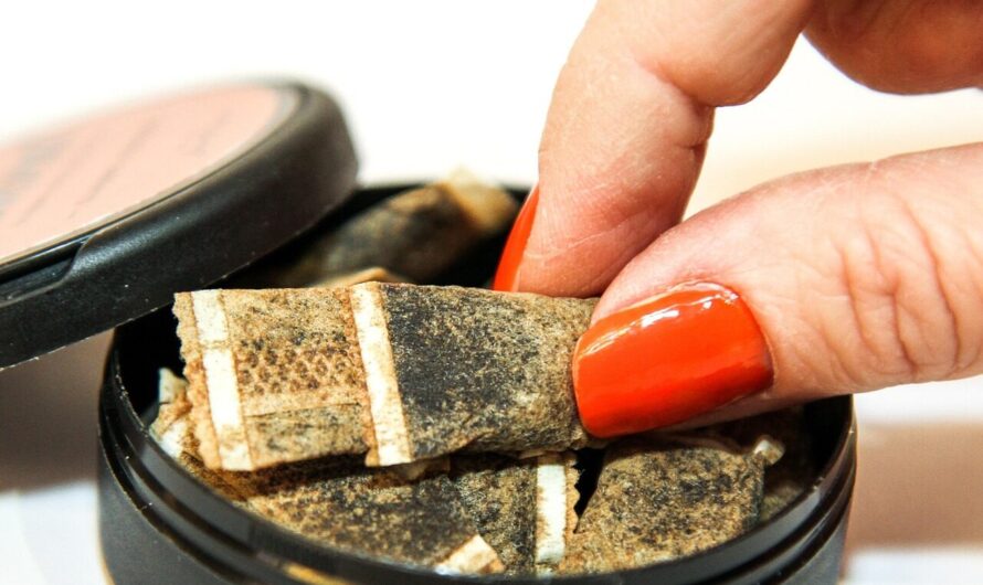 Snus, Snusbox und Pouches: Orientierung & Aromen – Leitfaden